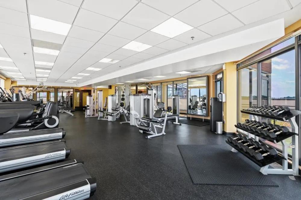 Modern & Charming Apt With Rooftop @Pentagon City Arlington Exterior photo